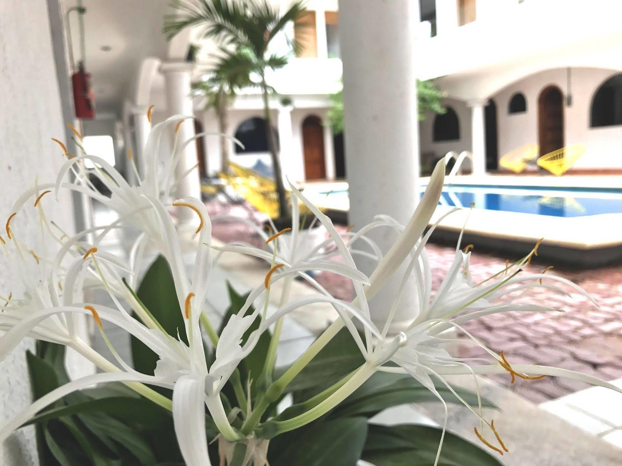 Hotel Villas San Ignacio Playa del Carmen Exterior photo